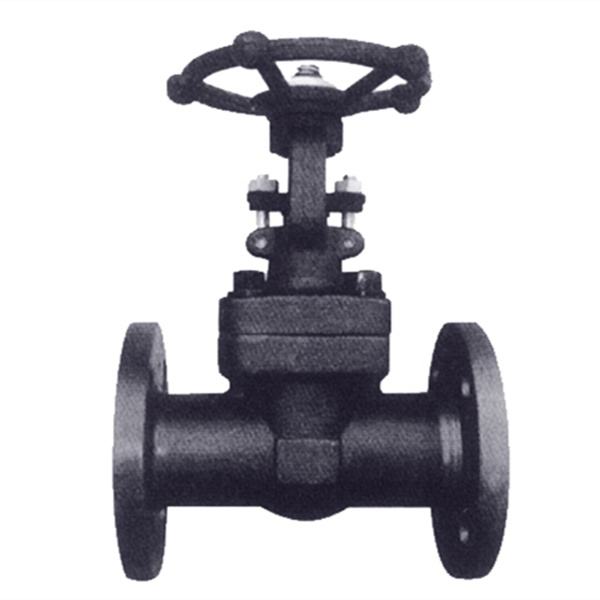 鍛鋼閥維護(hù)尤其要注意這兩點