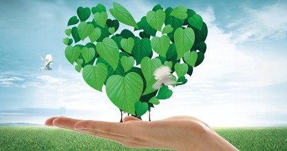 山東日照將綠色化工列為十大專項(xiàng)之一